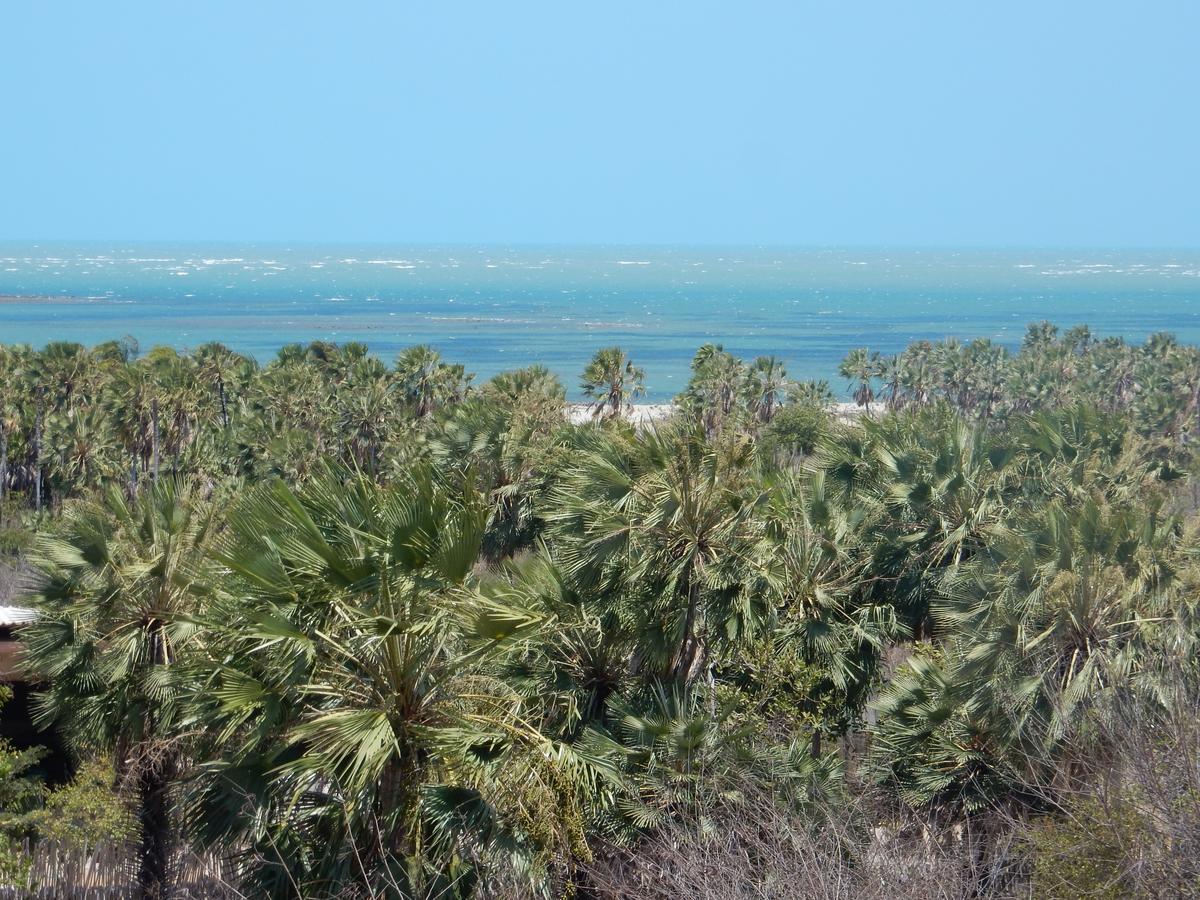 Raizes Eco Hostel Barra Grande  Exterior photo